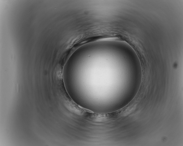 X0000095520384200712211308