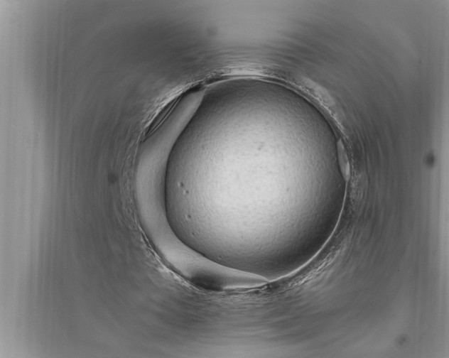 X0000095520385200712211308