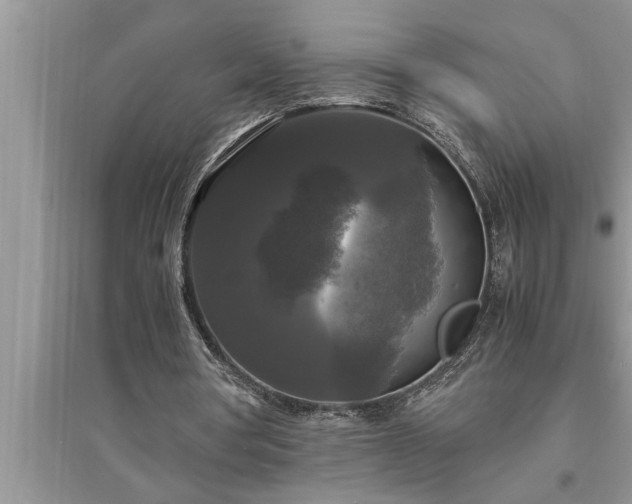 X0000095520386200712211307