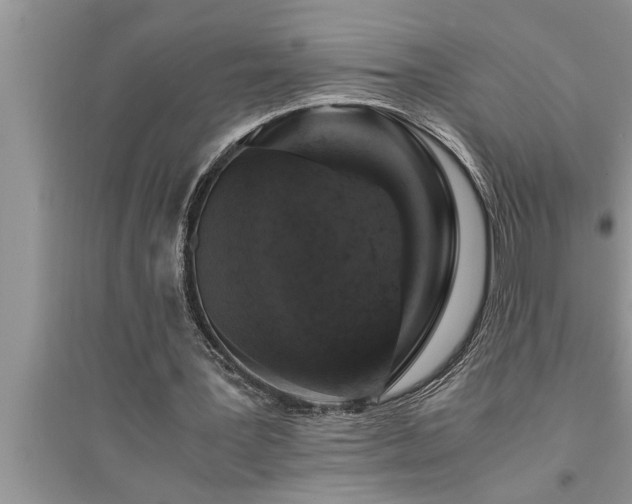 X0000095520387200712211307