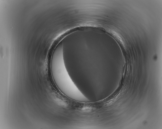 X0000095520388200712211307