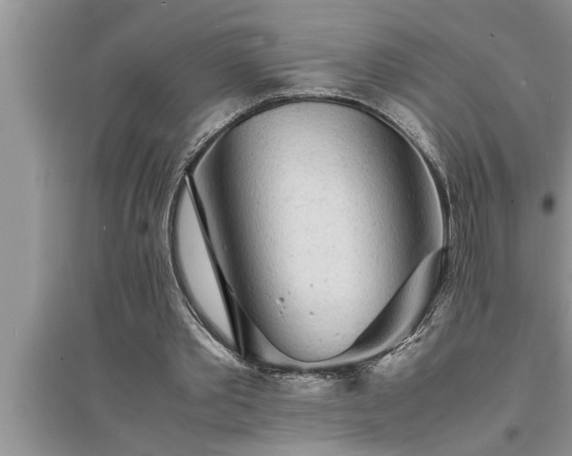 X0000095520389200712211307