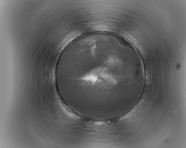 X0000095520390200712211307