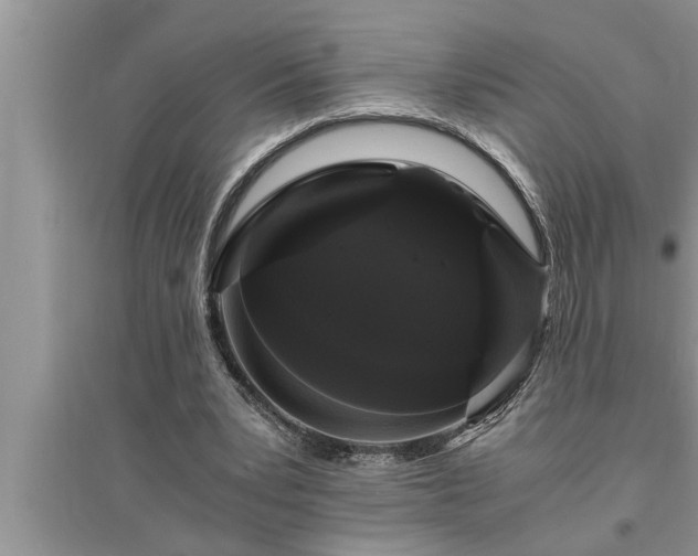 X0000095520391200712211307