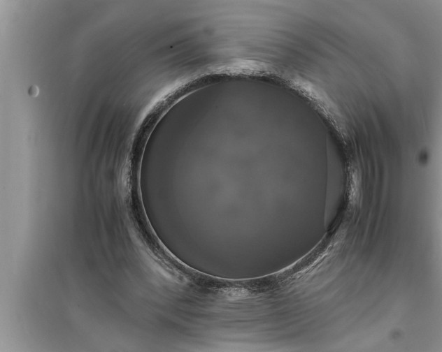 X0000095520392200712211307