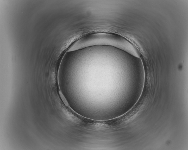 X0000095520393200712211307