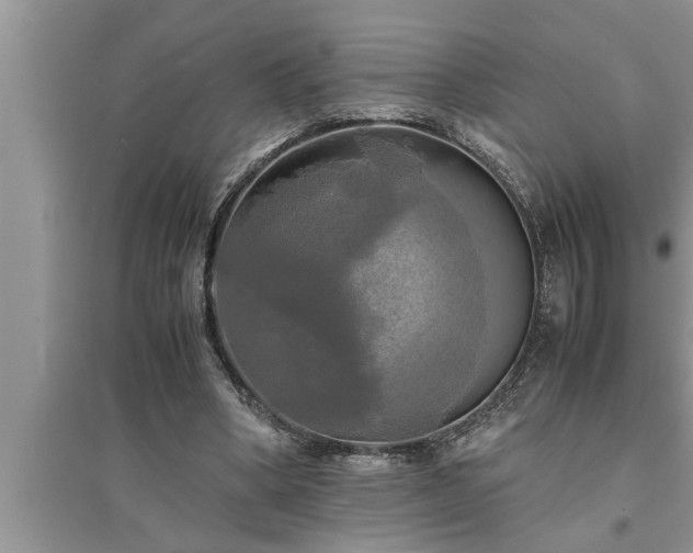 X0000095520394200712211307