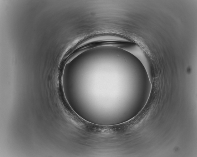 X0000095520395200712211307