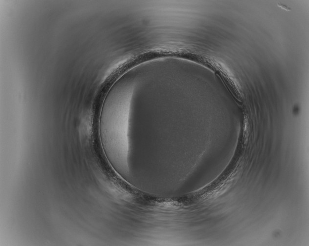 X0000095520396200712211307