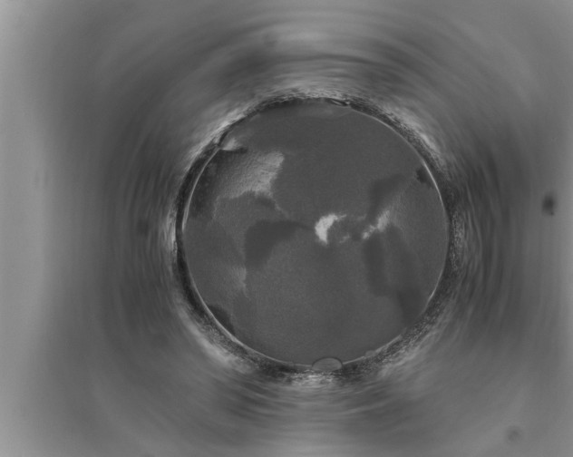 X0000095520398200712211307