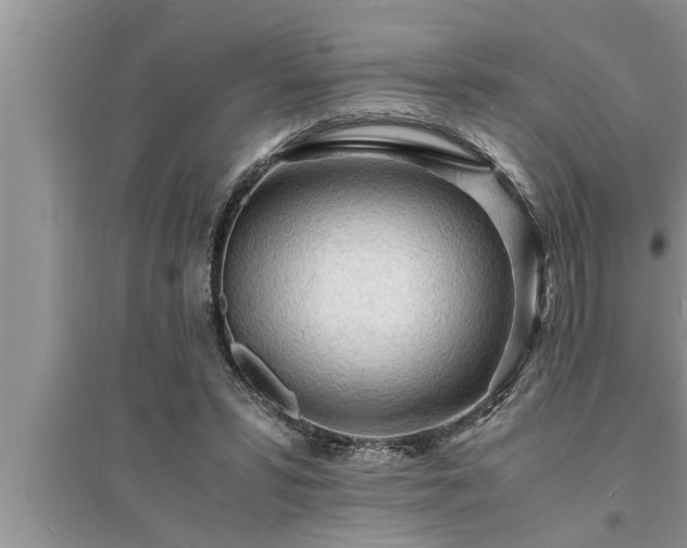 X0000095520399200712211307