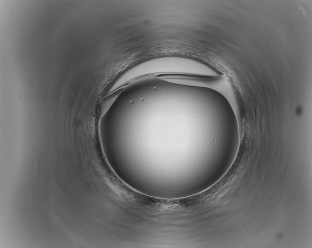 X0000095520401200712211307