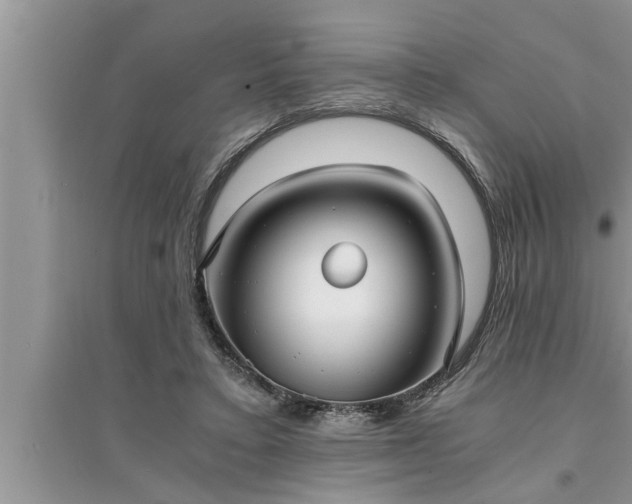 X0000095520403200712211307