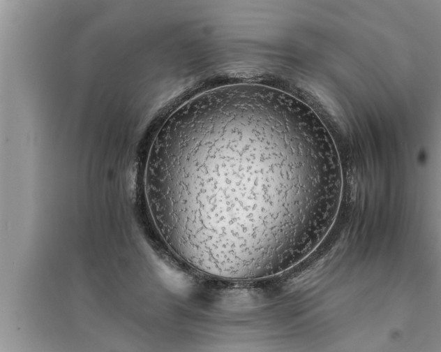 X0000095520404200712211307