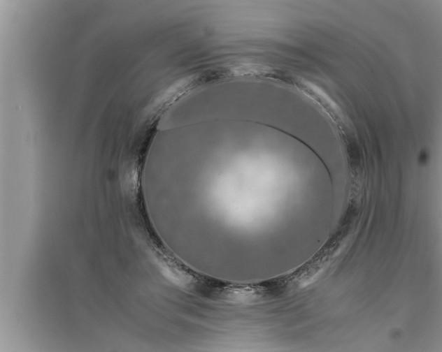 X0000095520405200712211307