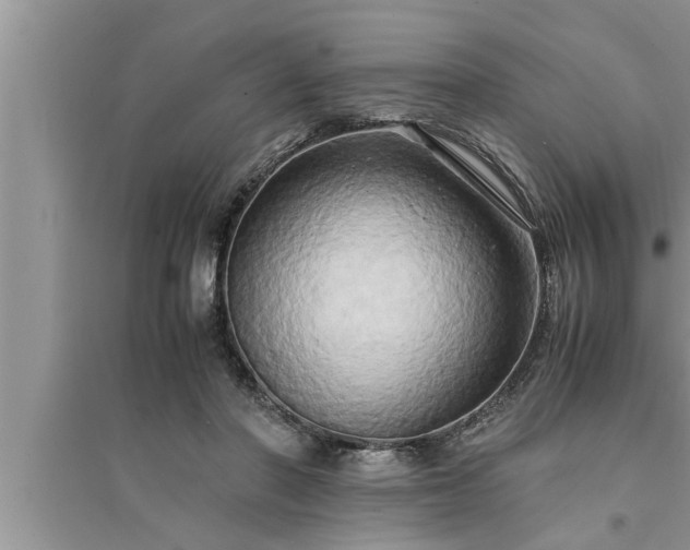 X0000095520406200712211307