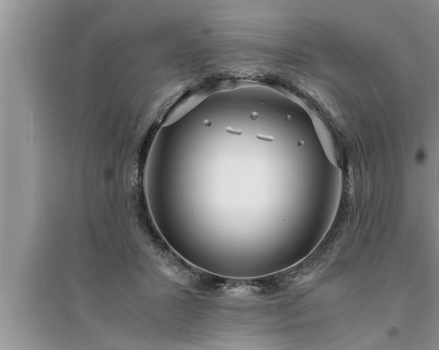 X0000095520407200712211307