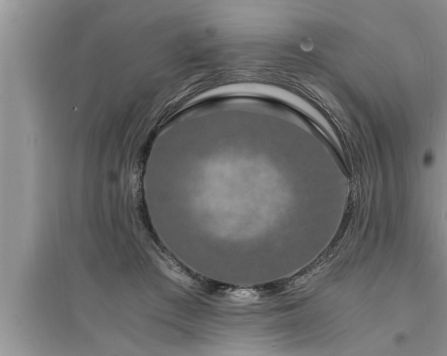 X0000095520409200712211307