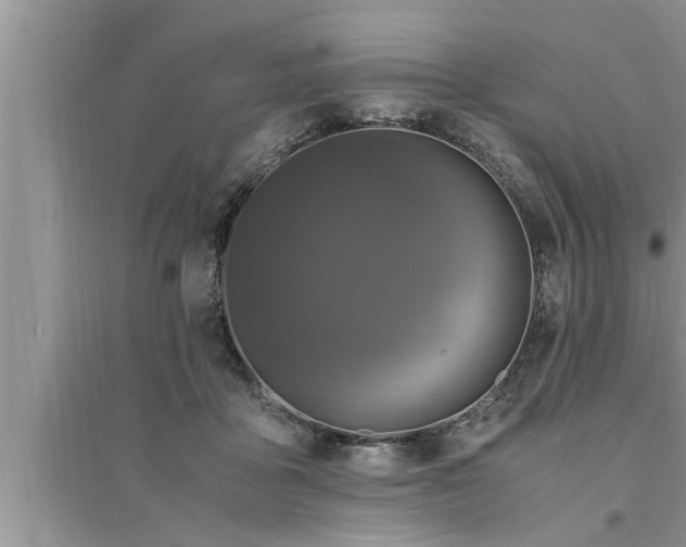 X0000095520411200712211307