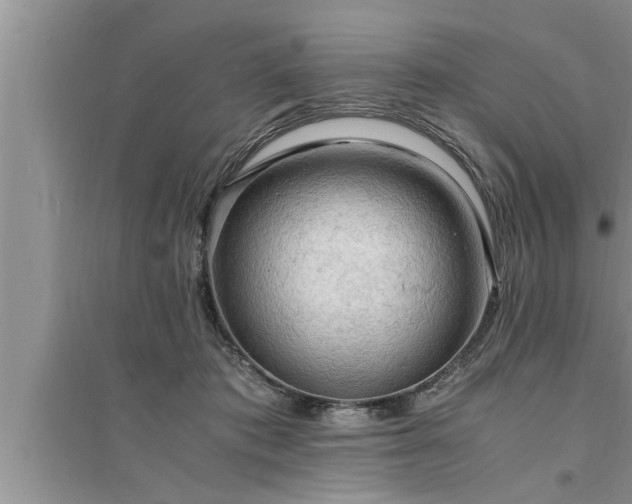 X0000095520413200712211307