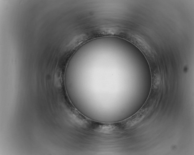 X0000095520414200712211307