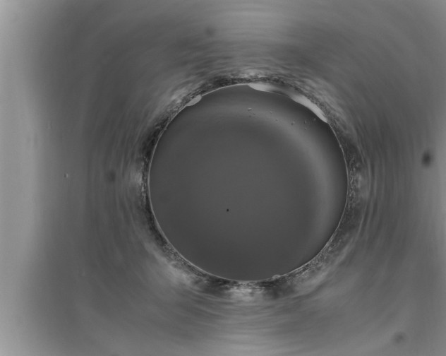 X0000095520415200712211307