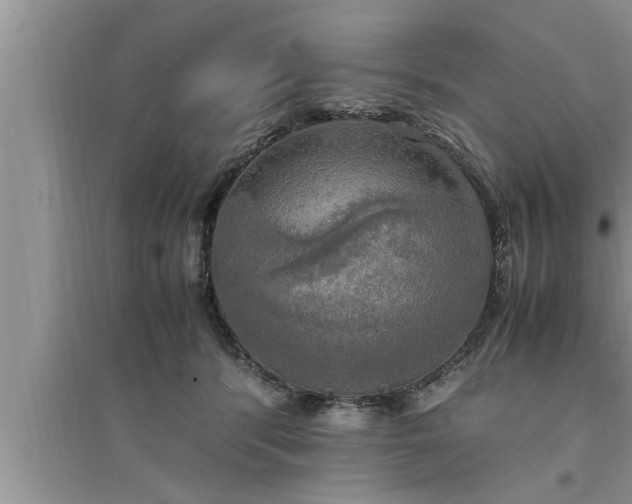 X0000095520416200712211307