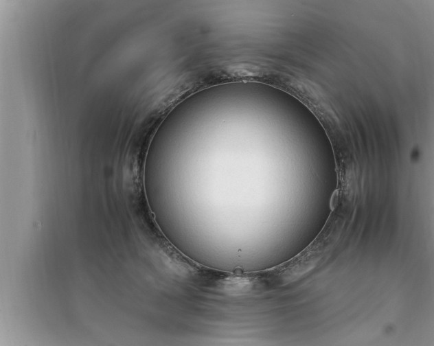 X0000095520418200712211307