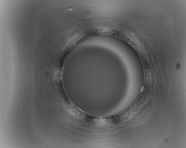 X0000095520419200712211307