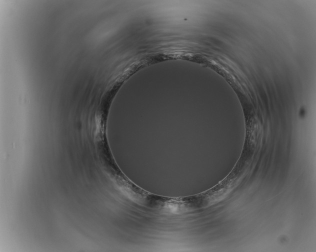 X0000095520420200712211307