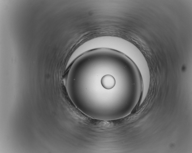 X0000095520421200712211307