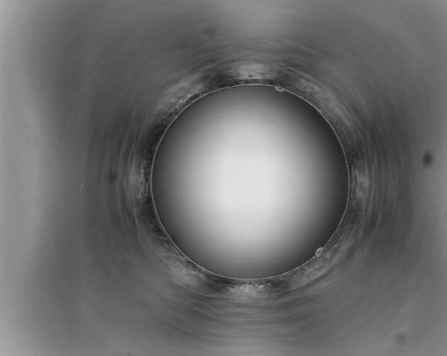 X0000095520422200712211307