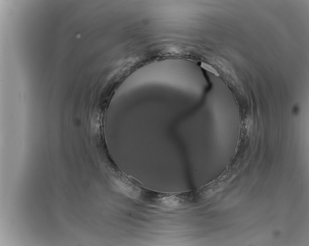 X0000095520423200712211307