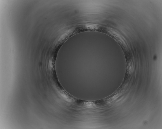 X0000095520424200712211307