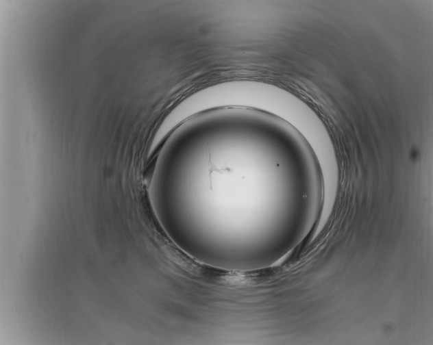 X0000095520425200712211307