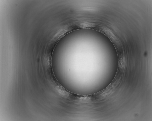 X0000095520426200712211307