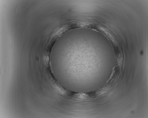 X0000095520427200712211307