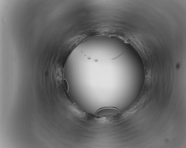 X0000095520430200712211307