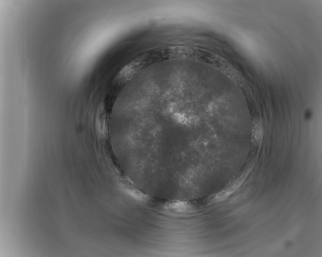 X0000095520431200712211307