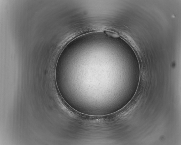 X0000095520433200712211306