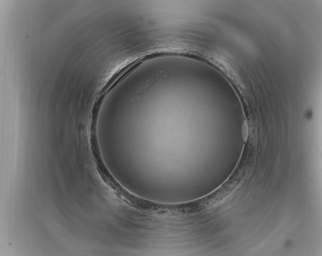 X0000095520434200712211306