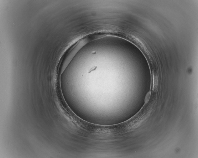 X0000095520435200712211306