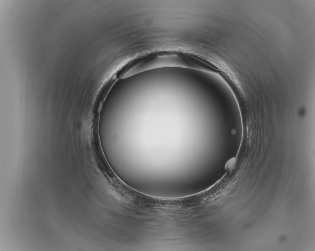 X0000095520436200712211306