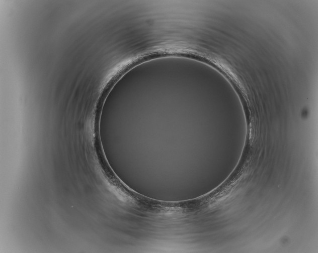 X0000095520438200712211306