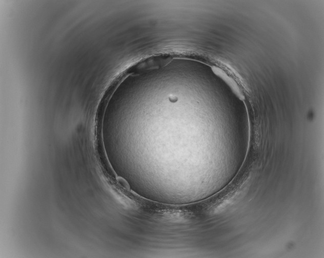 X0000095520439200712211306