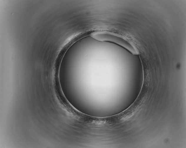 X0000095520440200712211306