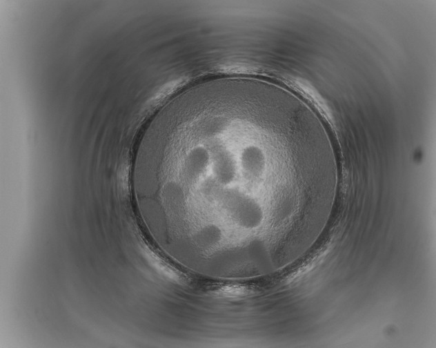 X0000095520441200712211306