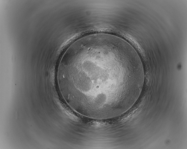 X0000095520442200712211306