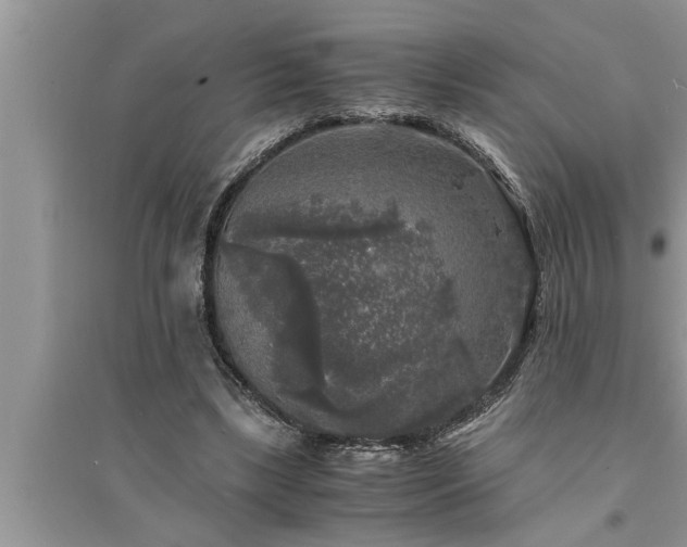 X0000095520443200712211306