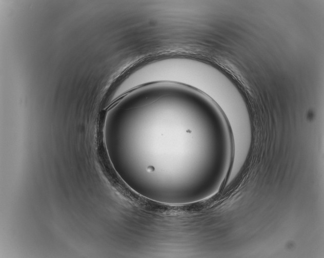 X0000095520444200712211306